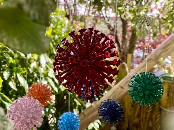 Unique Floating Alliums in 10 Vibrant Colours