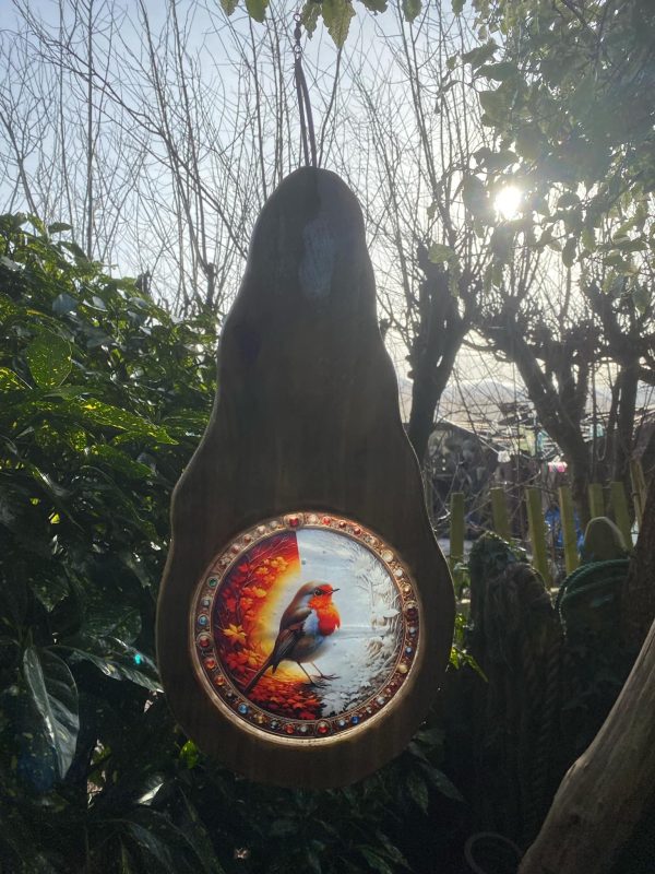 Teardrop Sun-Catcher with Resin Core ✨