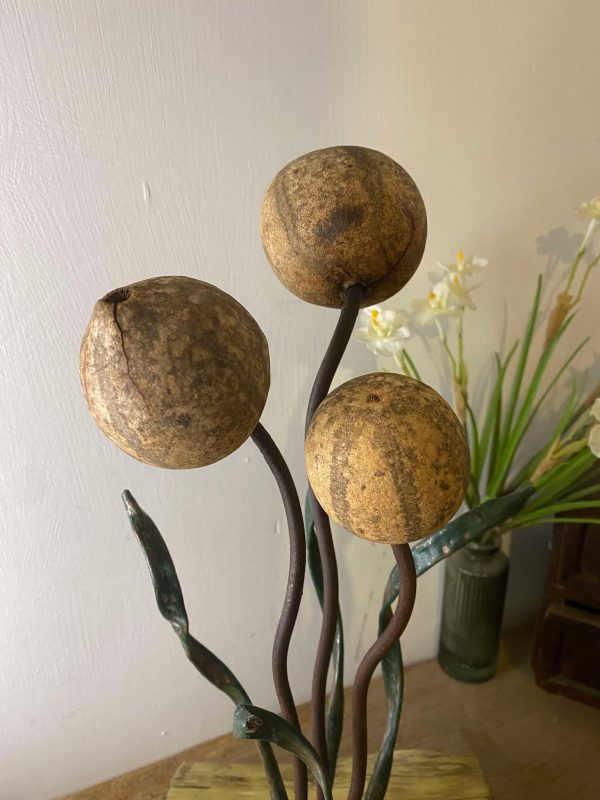 Pumpkin Seed Pod Feature Home Décor (IN-STOCK)