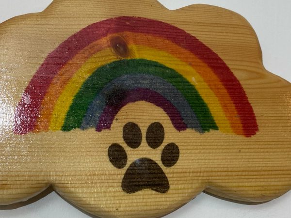 Rainbow Paw Cloud Plaque Wall AI Art