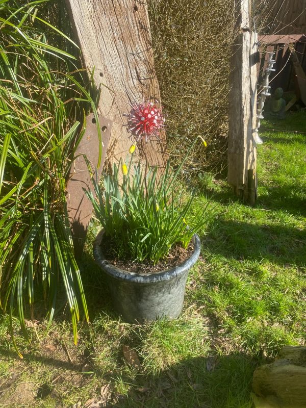 Exploding Dandelion's / Allium's Garden Décor (IN-STOCK)