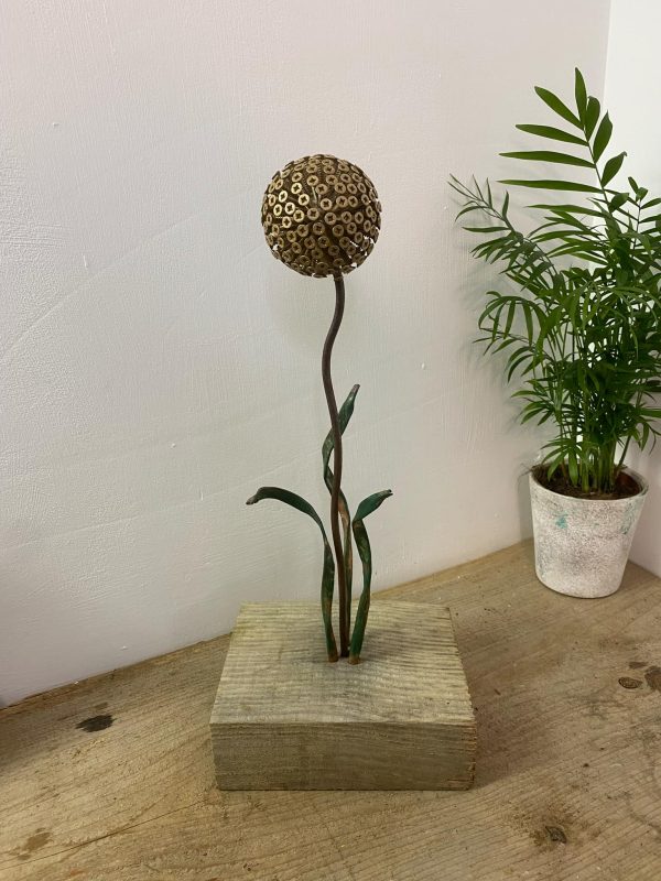 Brass Screw Dandelion / Allium Feature (IN-STOCK)