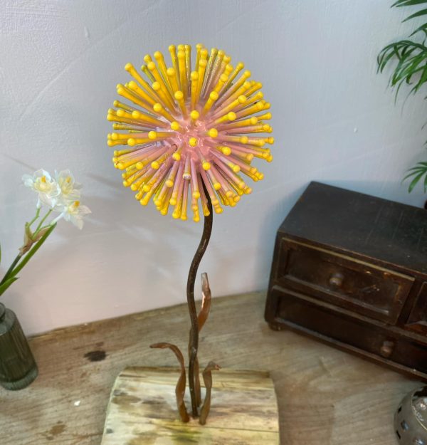 Pink & Orange Dandelion / Allium Feature (IN-STOCK)