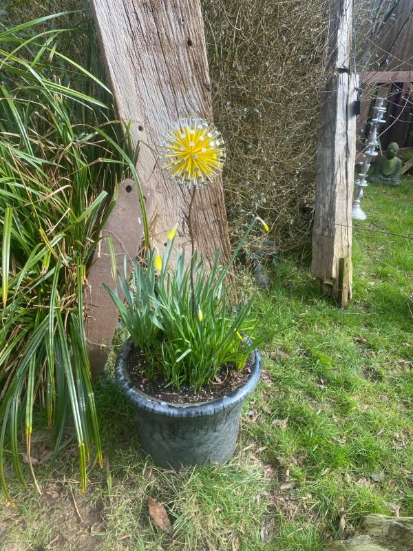 Large Dandelion / Allium Garden Décor (IN-STOCK)