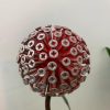 Red Dandelion / Allium Feature (IN-STOCK)