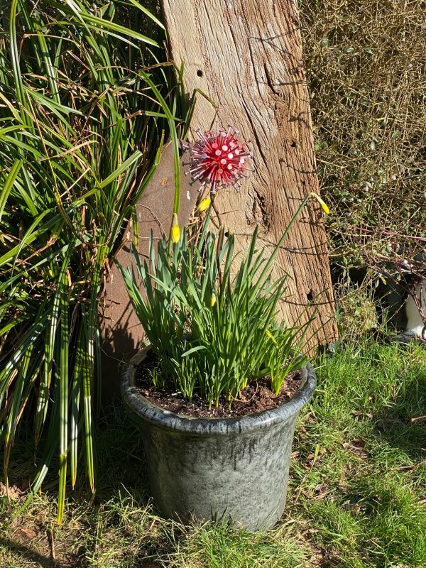 Exploding Dandelion's / Allium's Garden Décor (IN-STOCK)