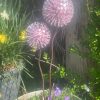 Pink Aluminium Nail Dandelion Feature (IN-STOCK)