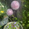 Pink Aluminium Nail Dandelion Feature (IN-STOCK)
