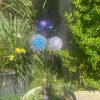 Dandelion's and Flower Feature (IN-STOCK)