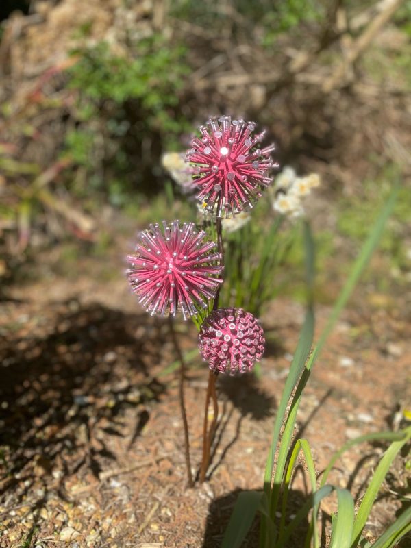 Three Pink Dandelion's Spikes Ornament