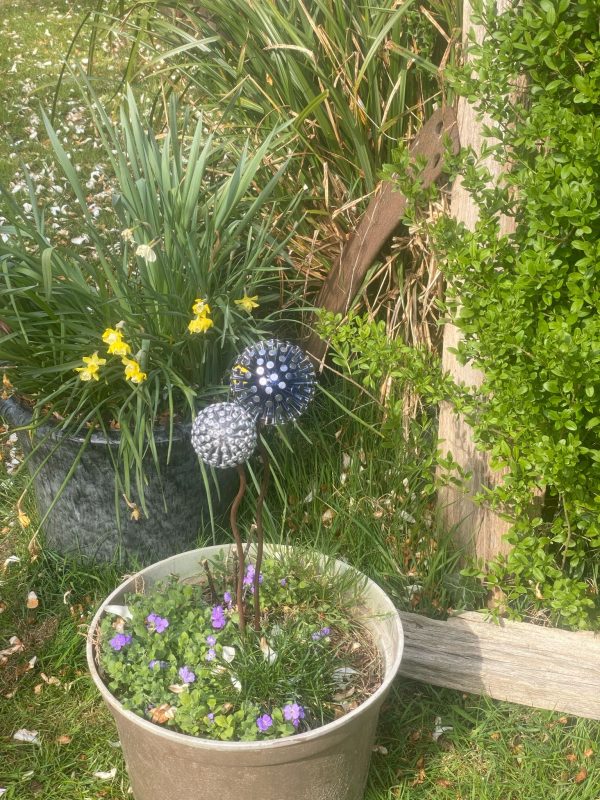 Pair of Allium's Dark blue and Silver Feature