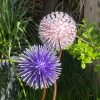 Purple & Pink Dandelion / Allium Lawn Ornament