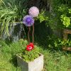 Purple & Pink Dandelion / Allium Lawn Ornament