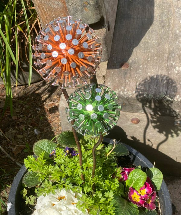 Green & Orange Dandelion / Allium Feature (IN-STOCK)