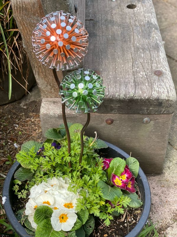 Green & Orange Dandelion / Allium Feature (IN-STOCK)