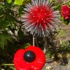 Red Dandelion & Poppy Feature (IN-STOCK)