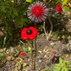 Red Dandelion & Poppy Feature (IN-STOCK)
