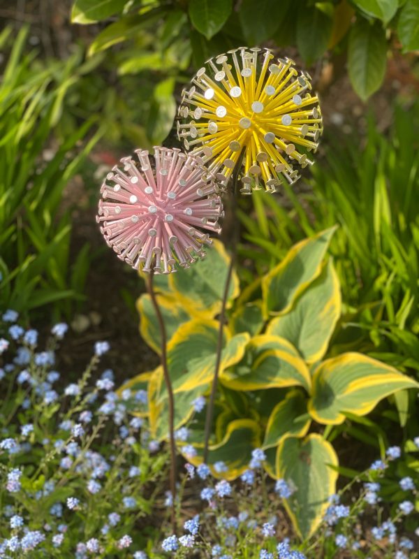 Yellow & Pink Pair of Dandelions / Alliums (IN-STOCK)