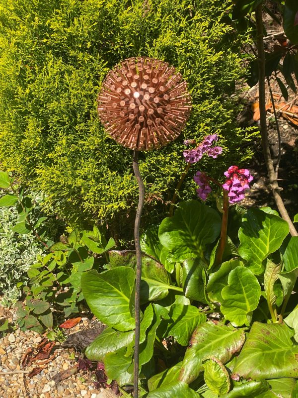 Iroko Wood and Copper Nail Allium
