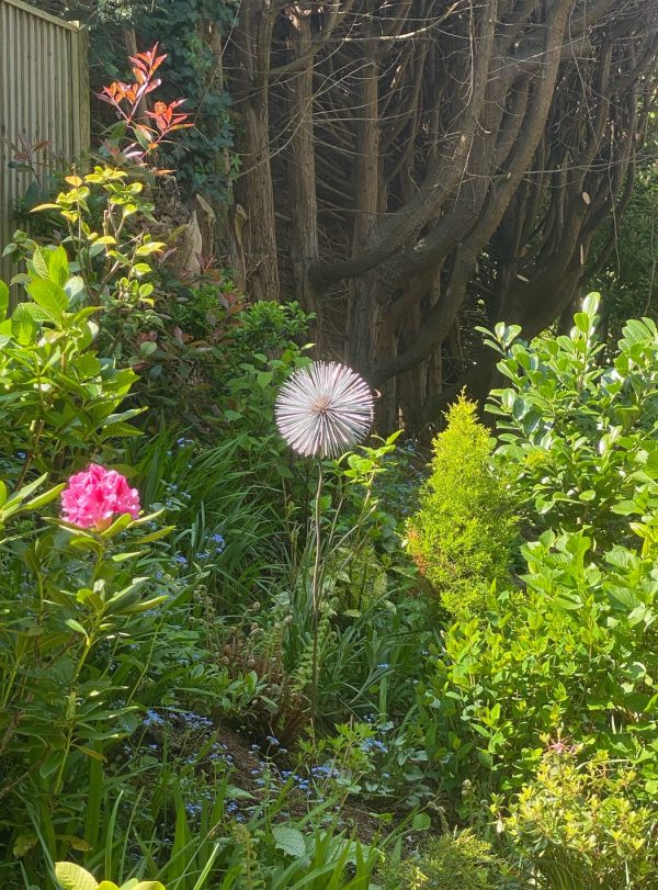Iroko Wood and Aluminium Dandelion