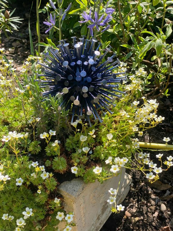 Exploding Aluminium Allium / Dandelion Head