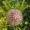 Two Tone Nail Allium / Dandelion Garden Feature
