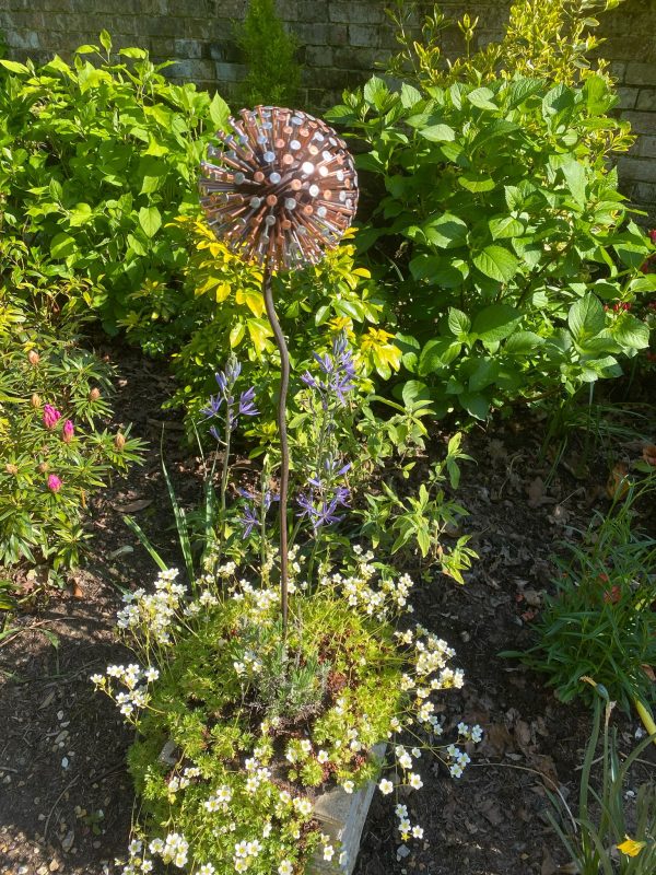 Two Tone Nail Allium / Dandelion Garden Feature