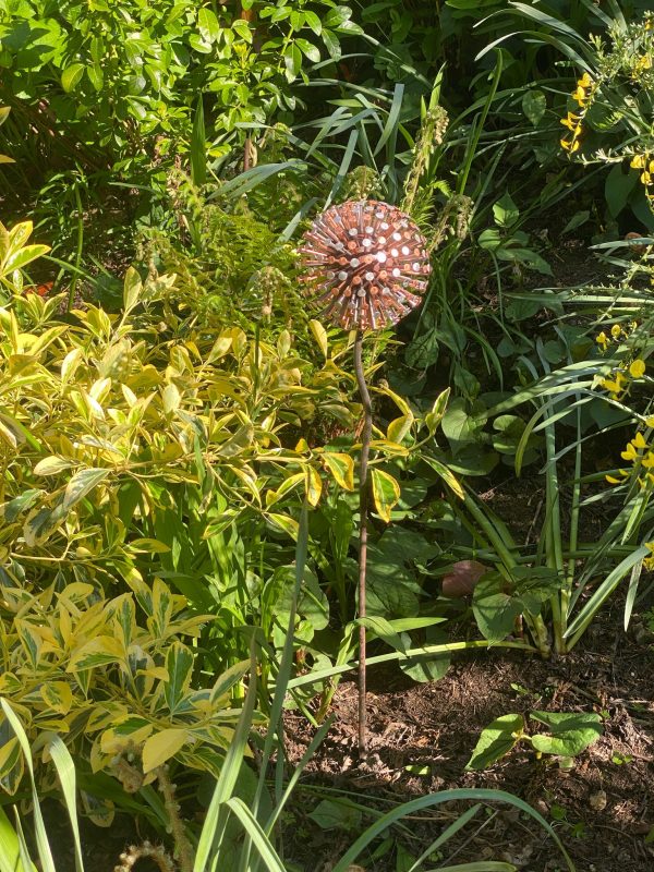 Two Tone Nail Allium / Dandelion Garden Feature