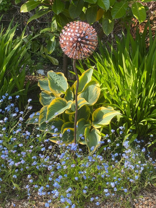 Two Tone Nail Allium / Dandelion Garden Feature