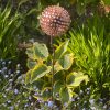 Two Tone Nail Allium / Dandelion Garden Feature