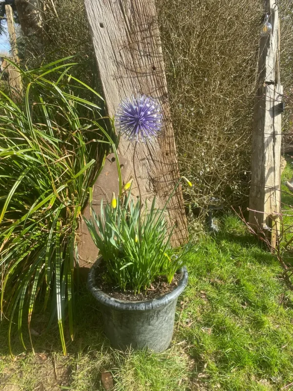 Purple Aluminium Dandelion Spike Feature