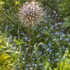 Exploding Aluminium & Iroko Wood Aluminium / Dandelion