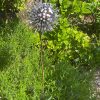 Exploding Aluminium & Iroko Wood Aluminium / Dandelion