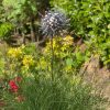 Exploding Aluminium & Iroko Wood Aluminium / Dandelion