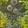 Iroko Wood and Aluminium Nail Dandelion Sculpture