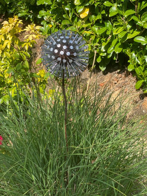 Iroko Wood and Aluminium Nail Dandelion Sculpture