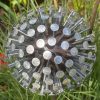 Iroko Wood and Aluminium Nail Dandelion Sculpture
