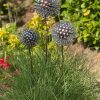Iroko Wood and Aluminium Nail Dandelion Sculpture