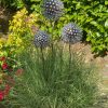Iroko Wood and Aluminium Nail Dandelion Sculpture