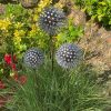 Iroko Wood and Aluminium Nail Dandelion Sculpture