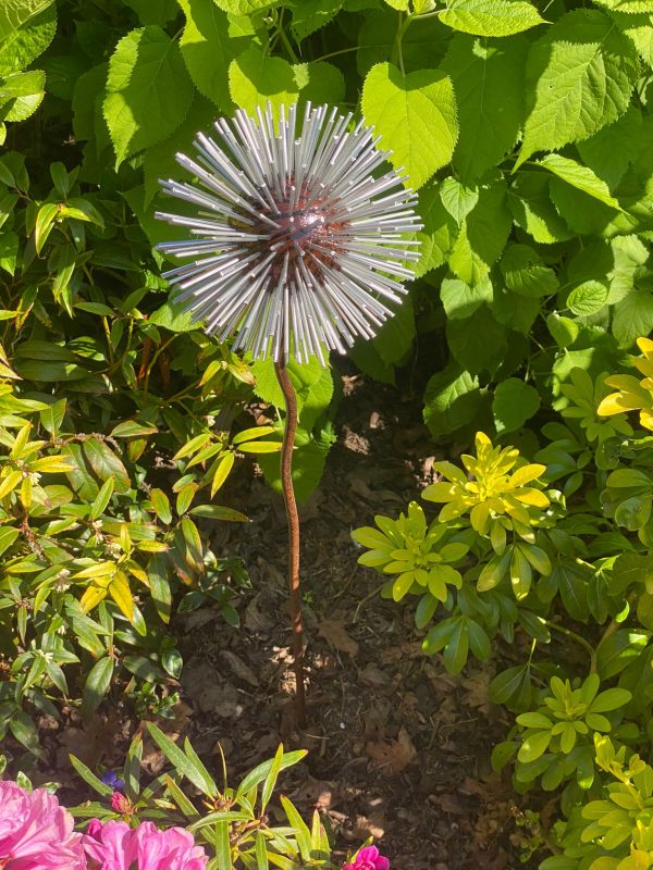 Iroko Wood and Aluminium Spike Dandelion Sculpture