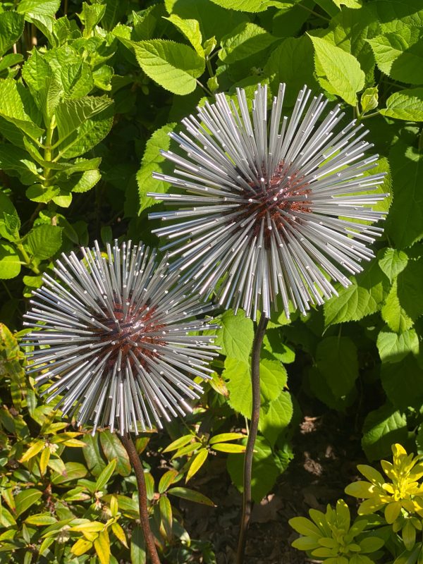 Iroko Wood and Aluminium Spike Dandelion Sculpture