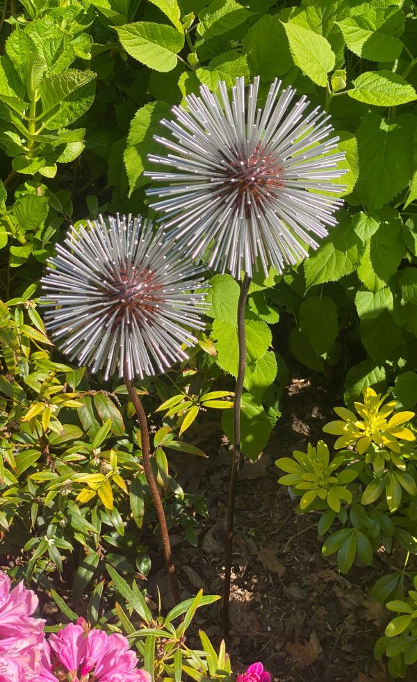Iroko Wood and Aluminium Spike Dandelion Sculpture