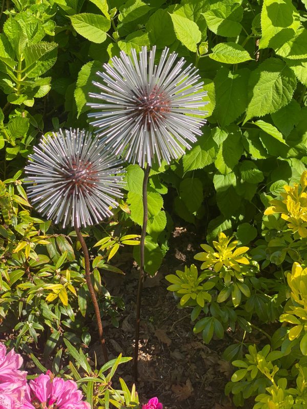 Iroko Wood and Aluminium Spike Dandelion Sculpture