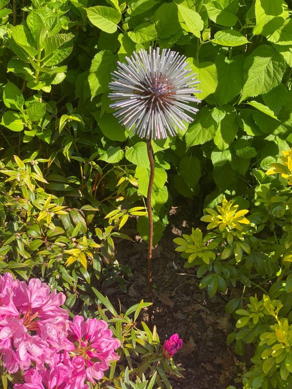 Iroko Wood and Aluminium Spike Dandelion Sculpture