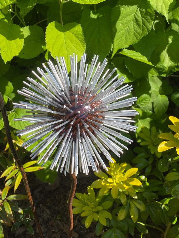 Iroko Wood and Aluminium Spike Dandelion Sculpture
