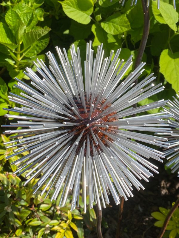 Iroko Wood and Aluminium Spike Dandelion Sculpture