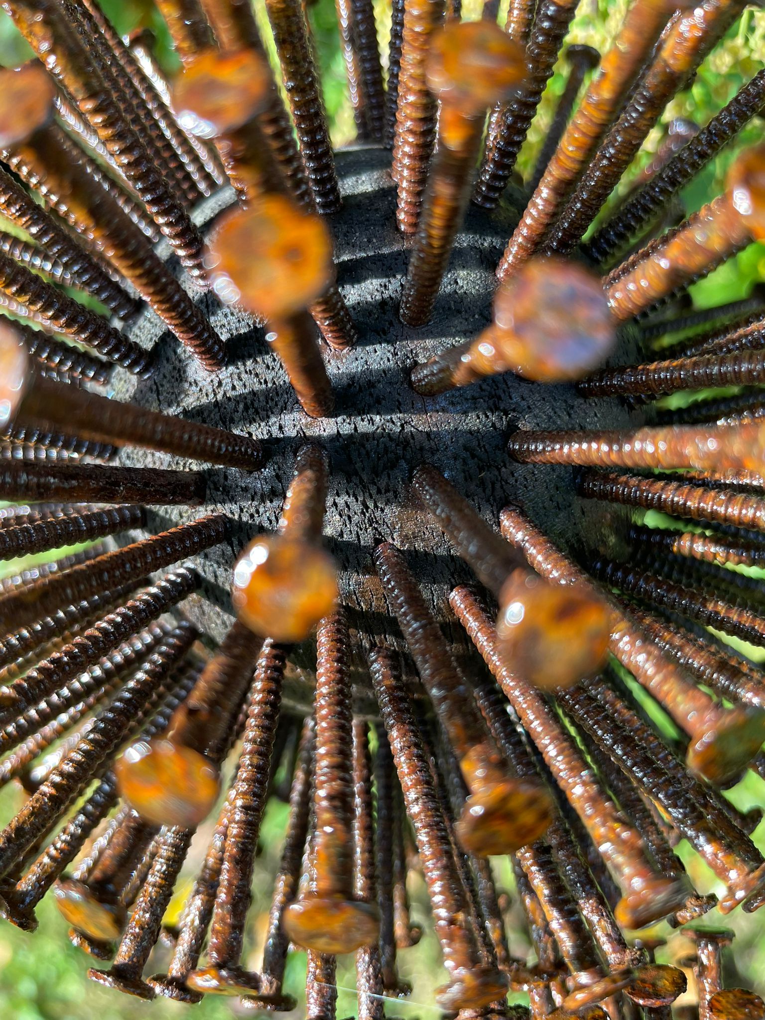 Rustic Pallet Nail Dandelion