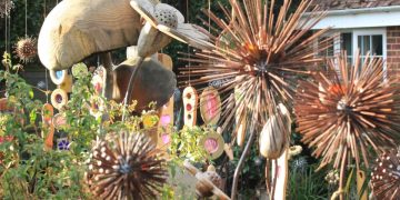   Dandelion / Allium Feature Gallery