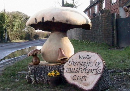 Button-Garden-Ornament-Mushroom-30